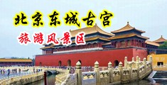 艹逼123视频中国北京-东城古宫旅游风景区